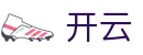 开云(Kai Yun)-官网首页